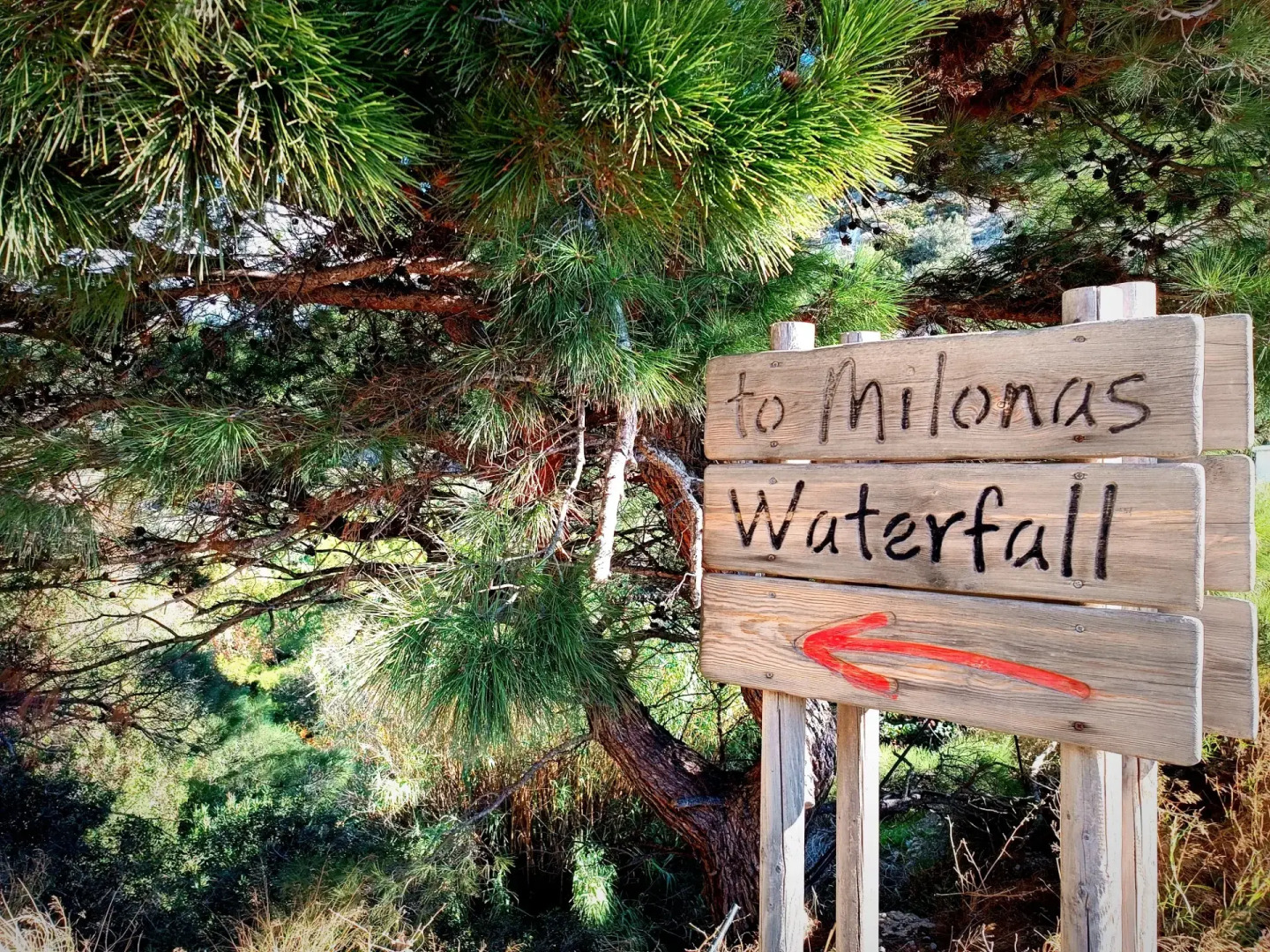 Апарт-Отель New Aurora Apts Studios