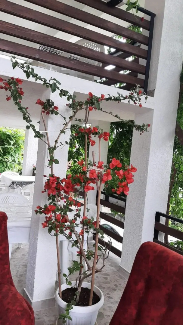 Гостевой дом Элида