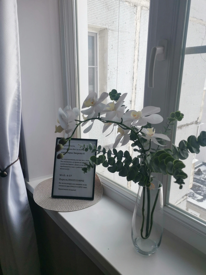 Апартаменты Зверева 4