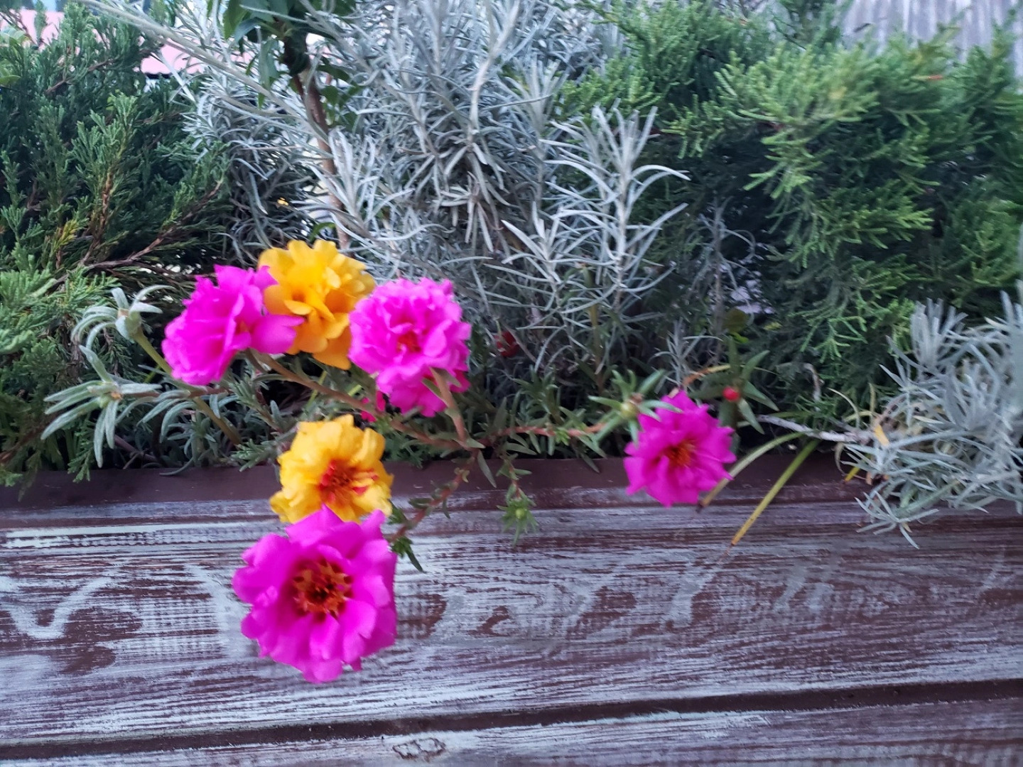 Гостевой дом В гостях у Джулии