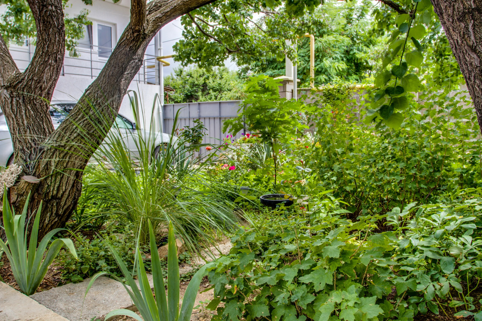 Гостевой Дом Рейд