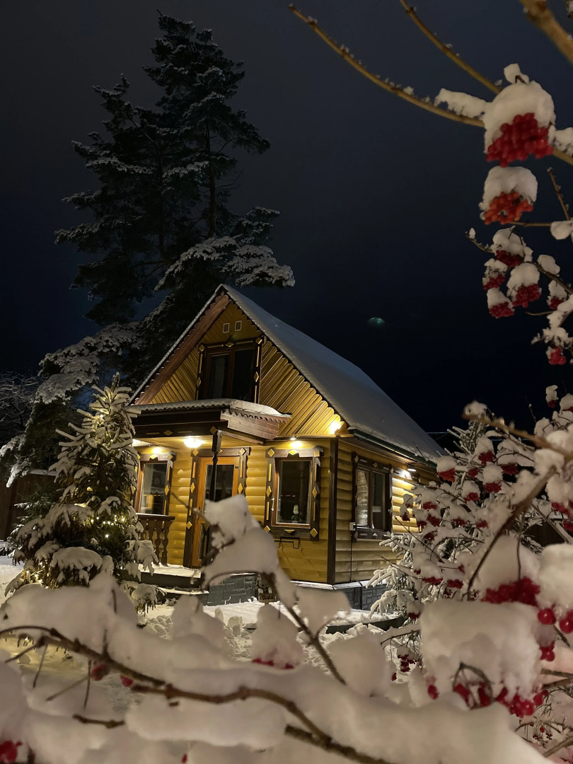 Гостевой дом Дом Шишки