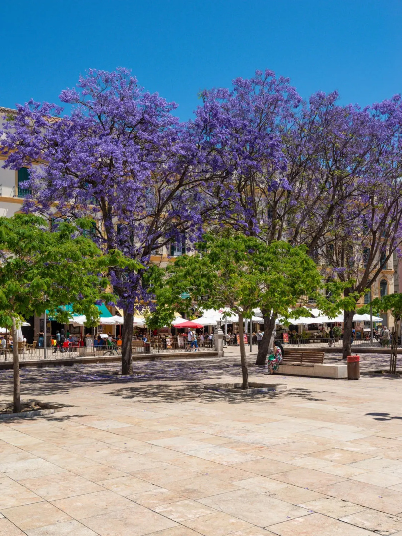 Апартаменты Homearts Málaga
