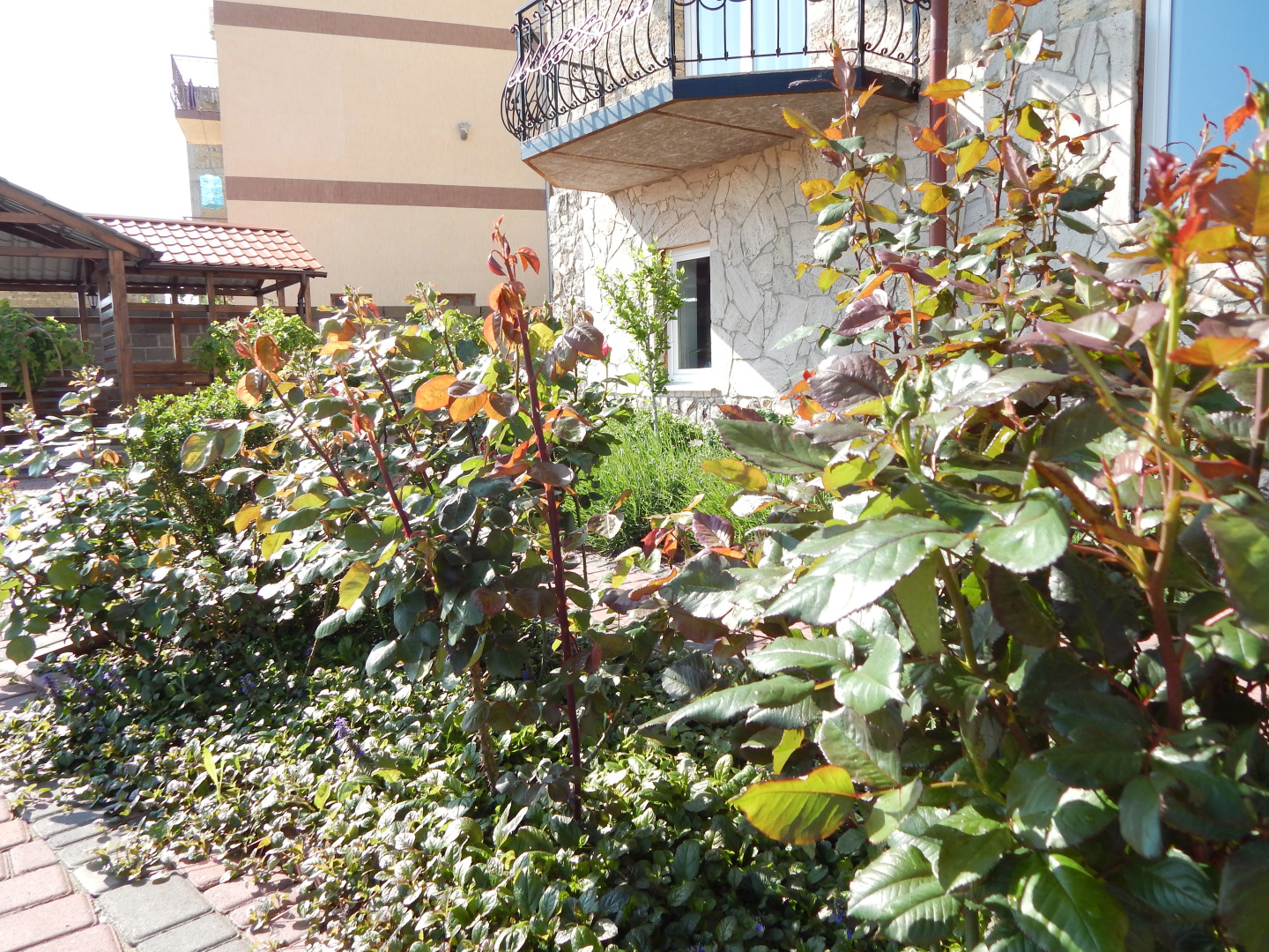 Гостевой дом Вилла Ева