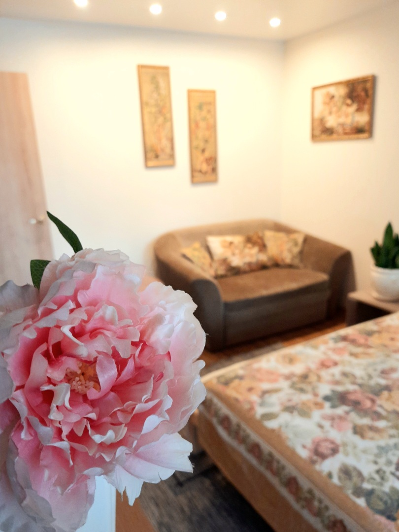 Квартира Двухкомнатная в Историческом Центре Амалиенау 1