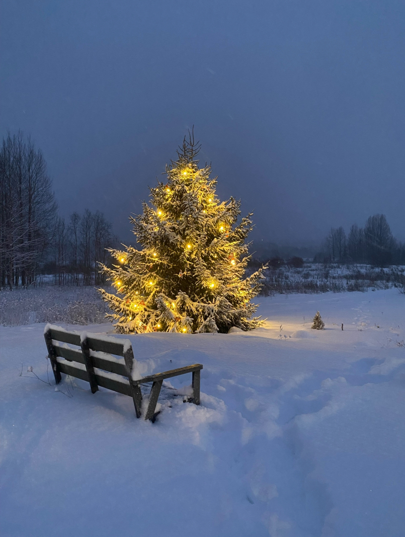 Частный дом Дом на финском хуторе Ханканмяки