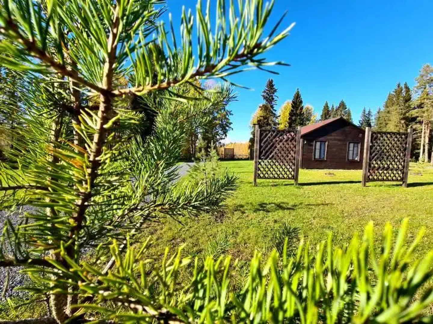 Гостевой Дом Гостевой Комплекс Лиски