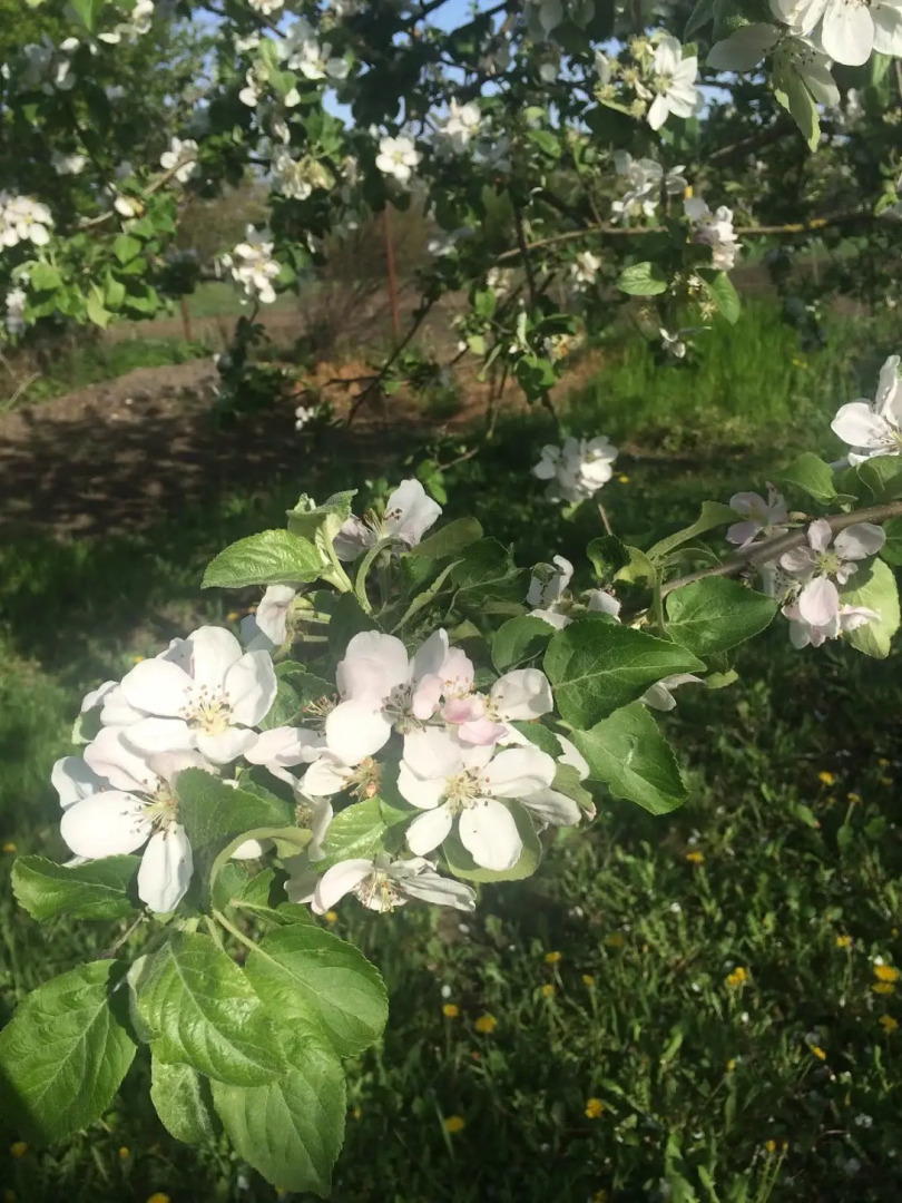 Гостевой Дом на Куйбышева