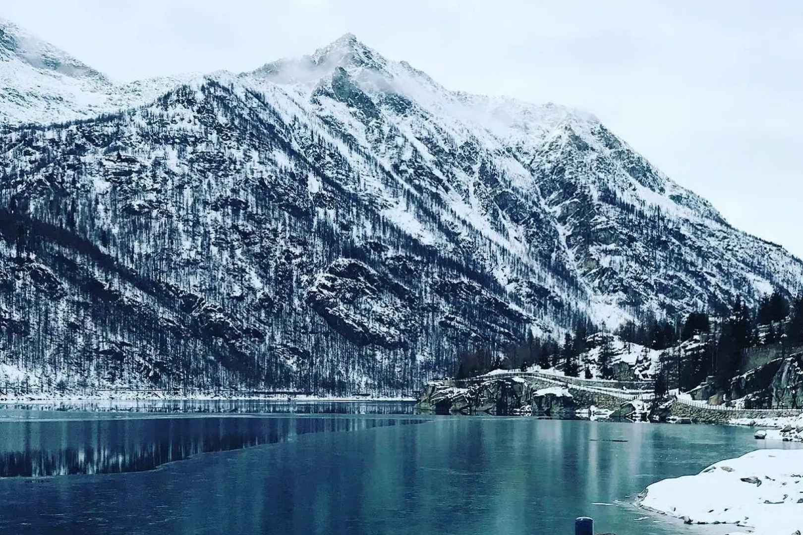 Апарт-отель Grand Ceresole Reale Studio