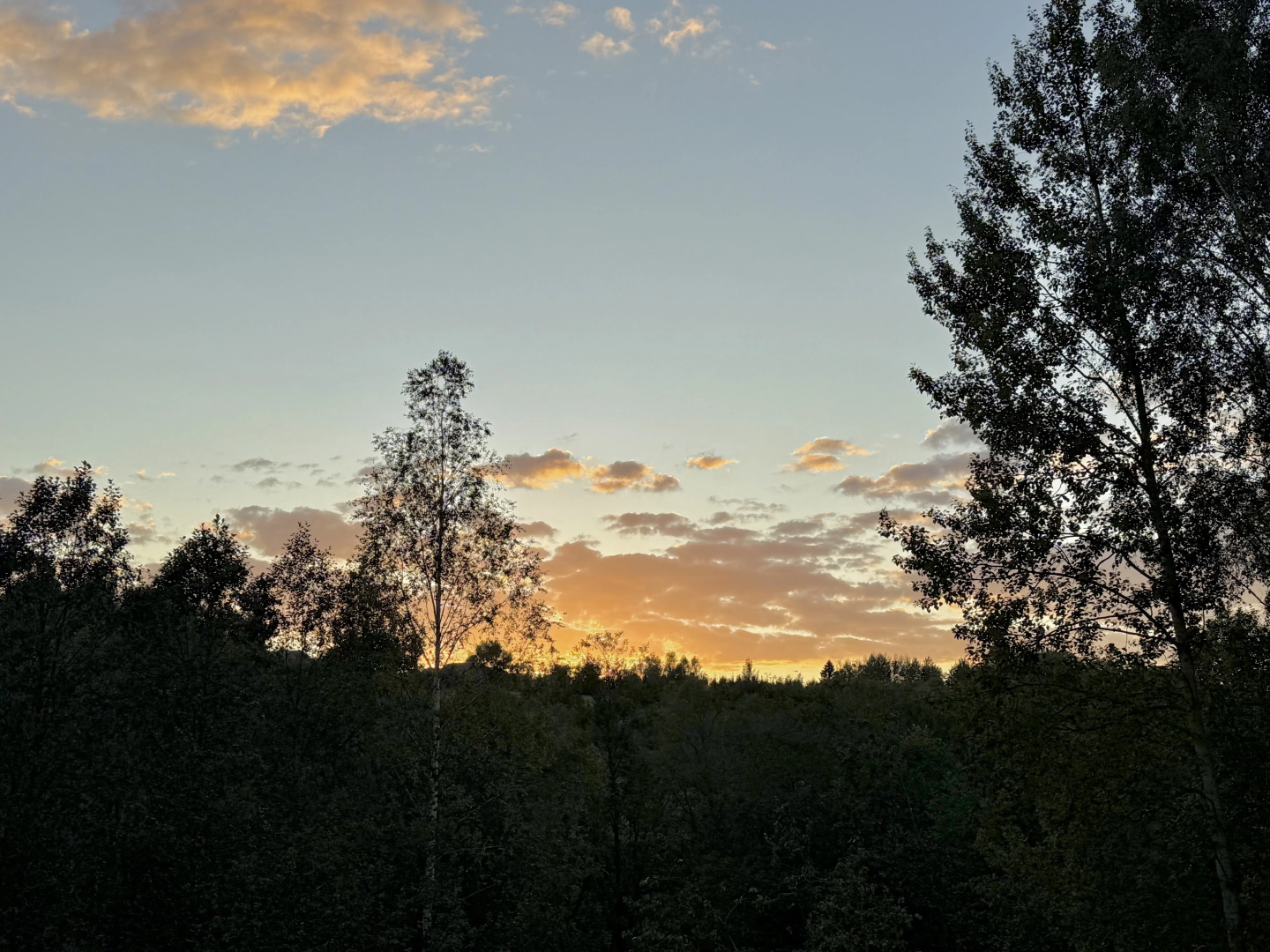 Гостевой Дом у леса и ручья - Яхрома Лес