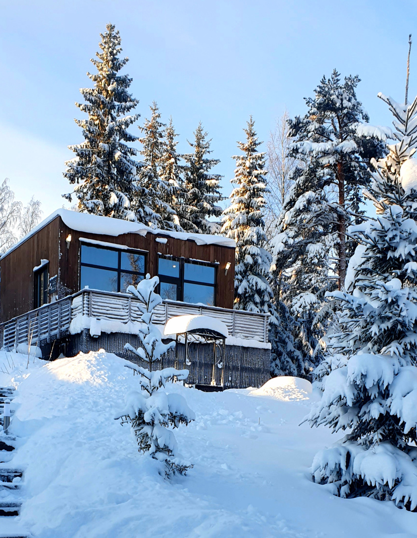 Коттедж Черничный Склон Orhid House