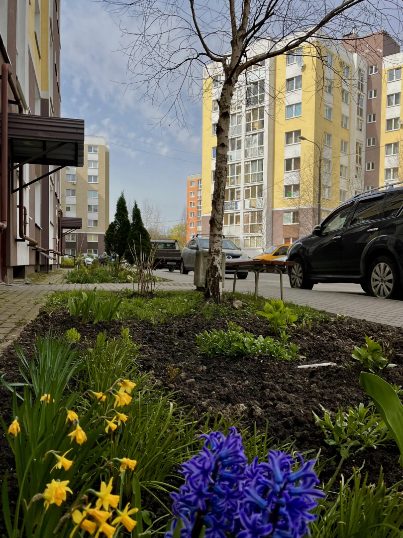 Апартаменты Минусинская 17