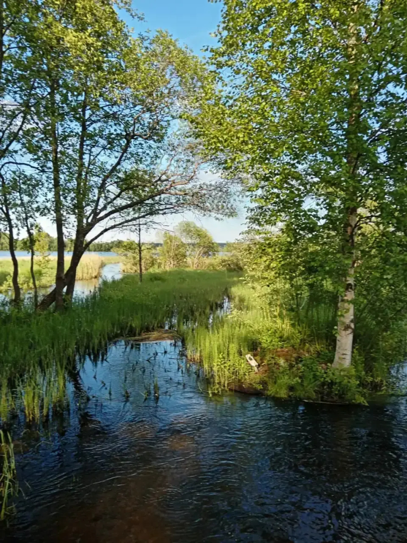 Гостевой дом "Загородный"