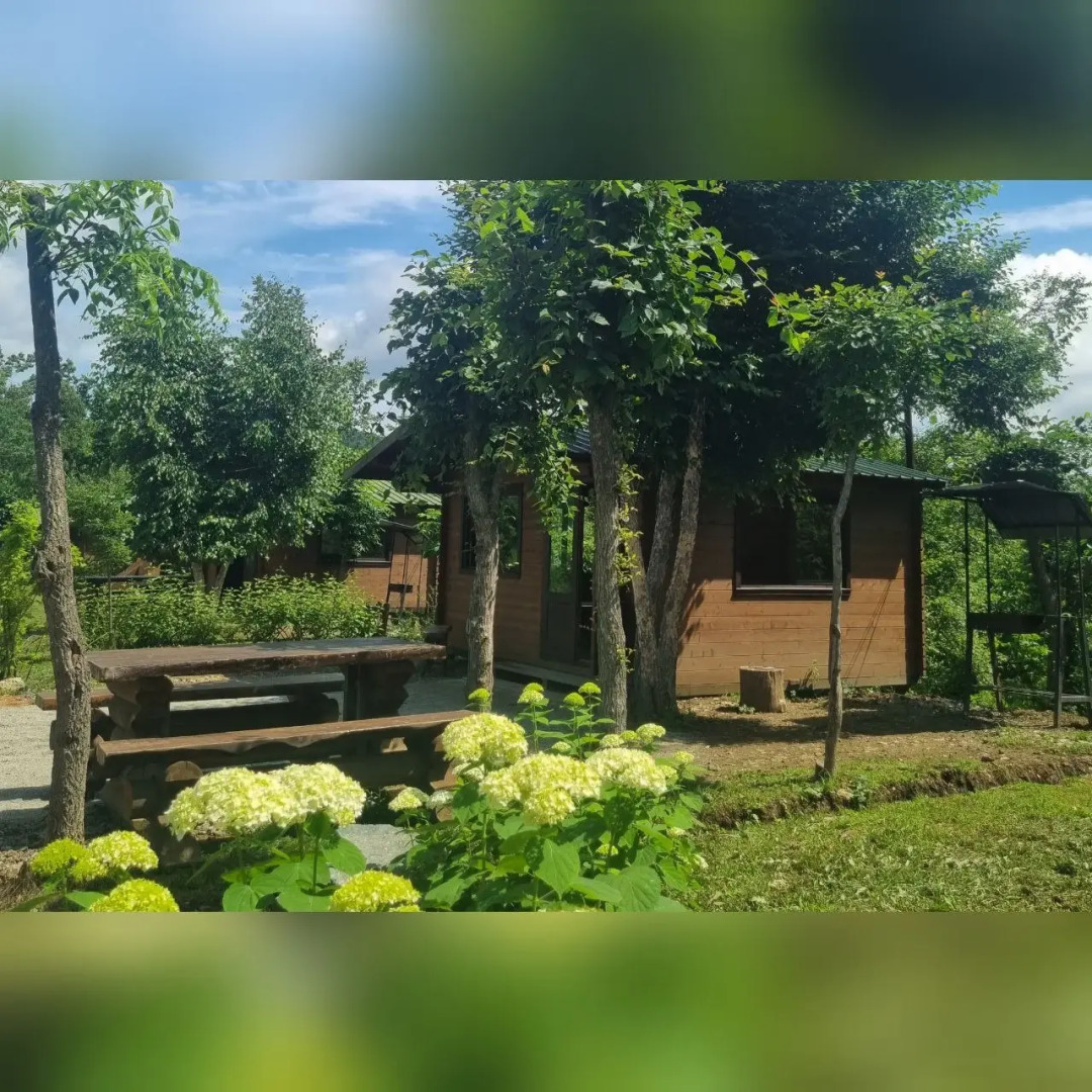 База отдыха парк отдыха Лесное озеро