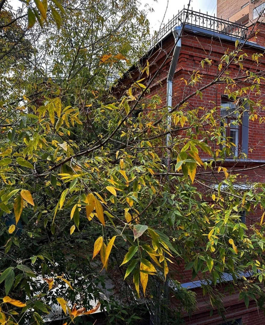 Мини-отель Московье