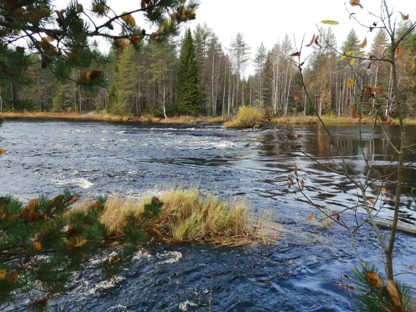 Гостевой дом Меличуярви Лось