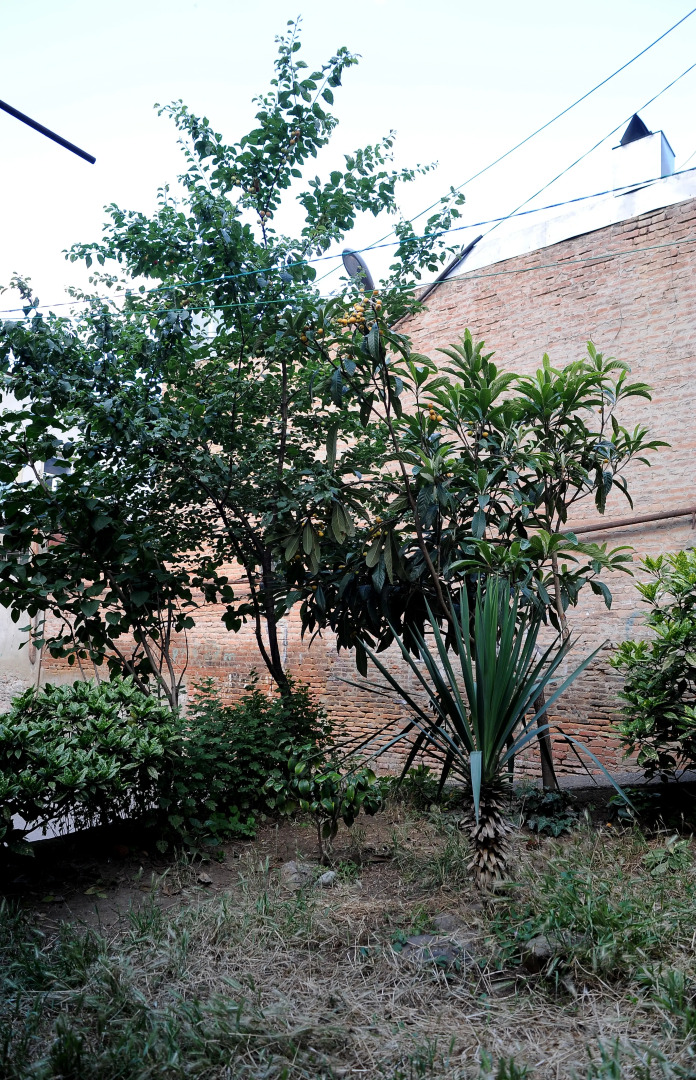 Апартаменты Old Vera