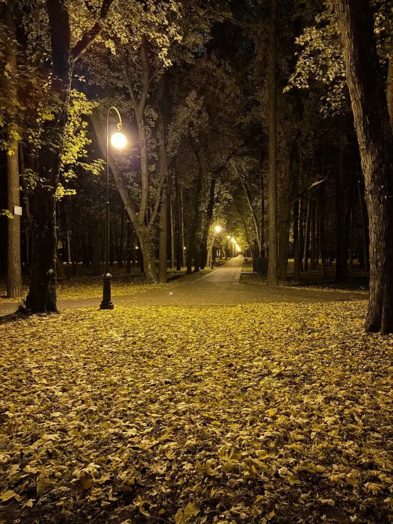 Апартаменты в ЖК Парк Челюскинцев