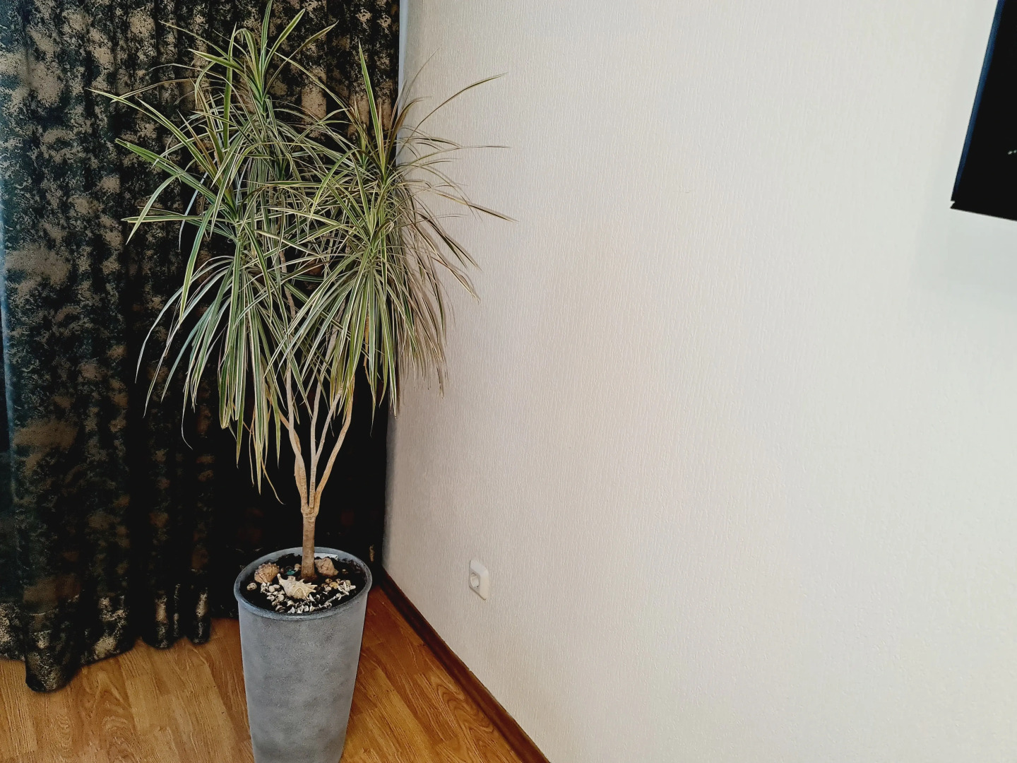 Апартаменты Двухкомнатные на Кузбасской дивизии 24