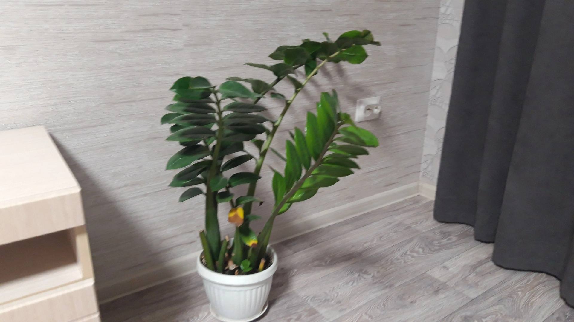 Квартира Уютная квартира в Улан-Удэ рядом с ФСК