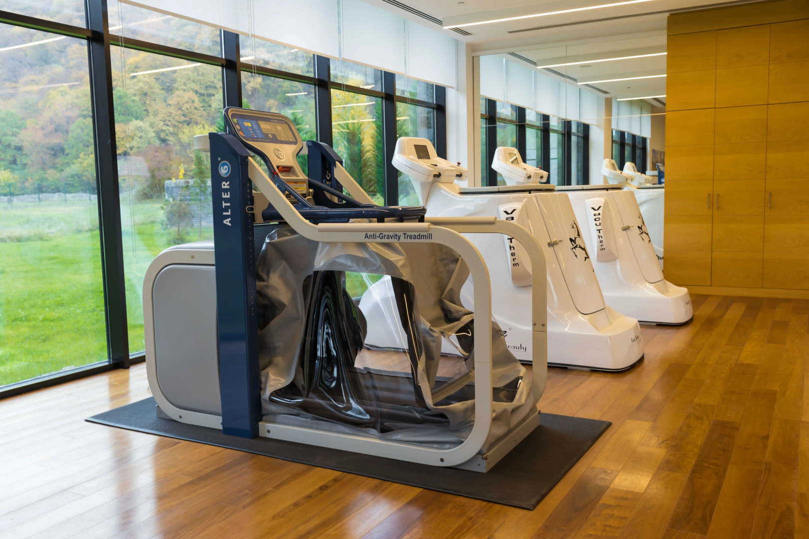 Отель Chenot Palace Gabala 