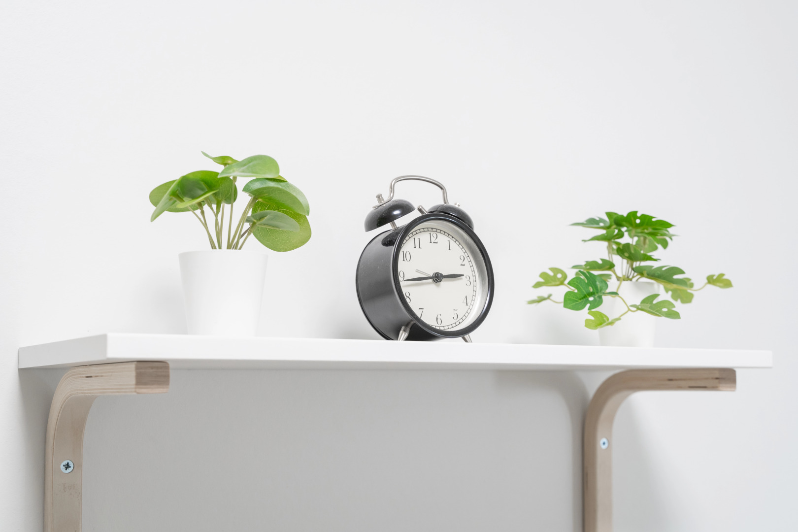 Мини-Отель Три Барсука