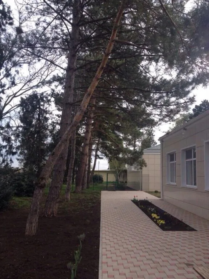 Ночлег и завтрак Гостиница Надежда