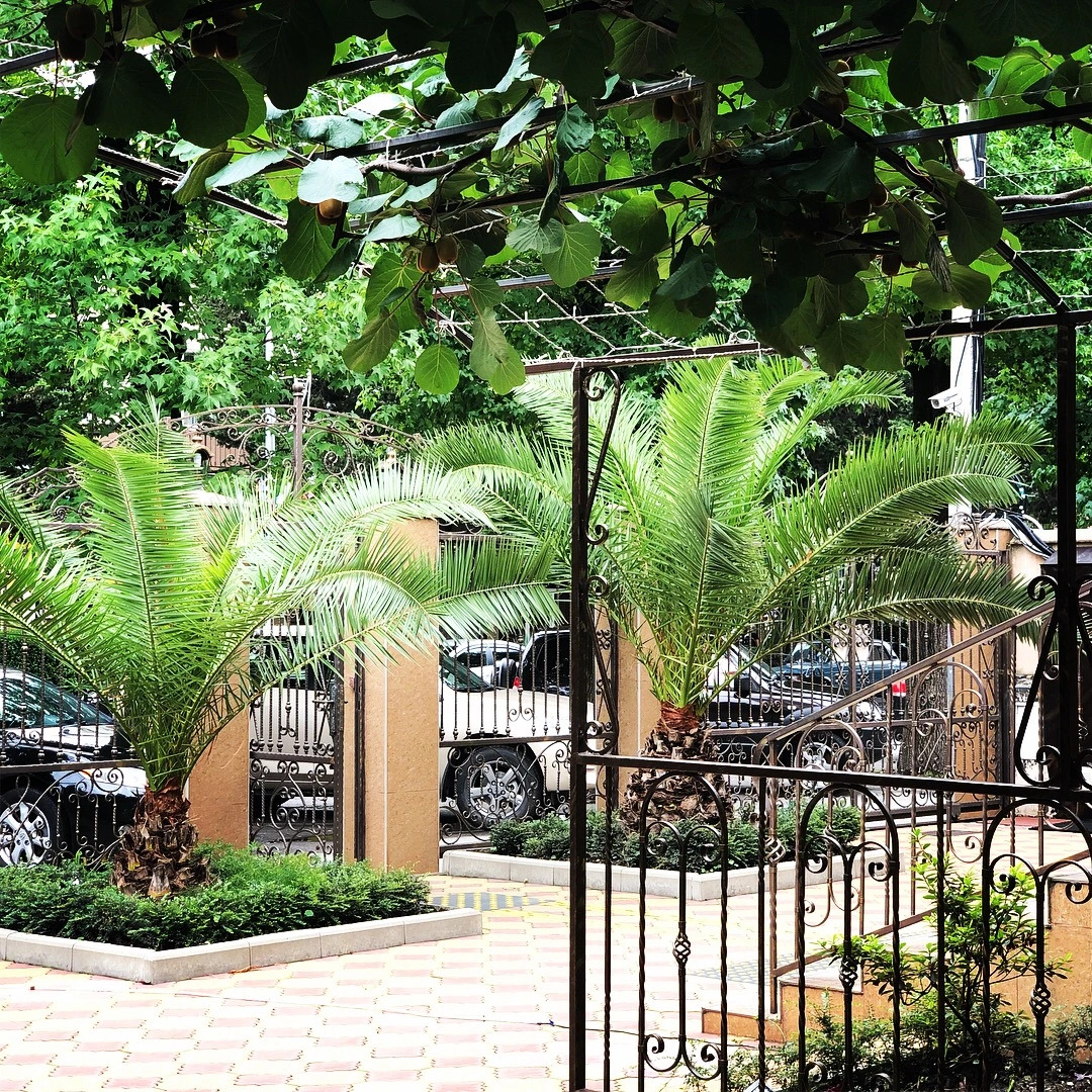 Отель Надежда Адлер