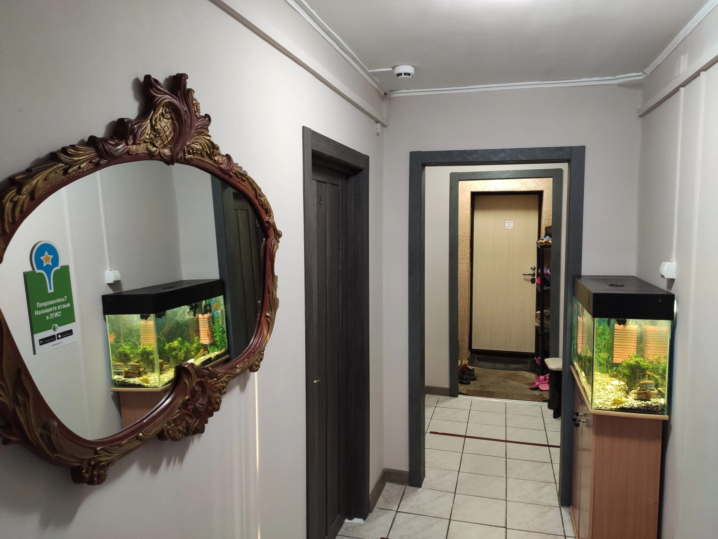 Хостел Подсолнух