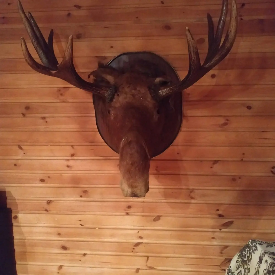 Гостевой дом Агроусадьба у Сан Саныча