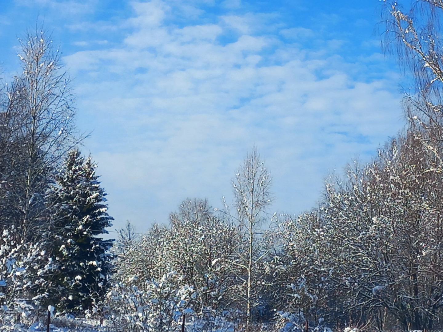 Частный дом Речная Заимка