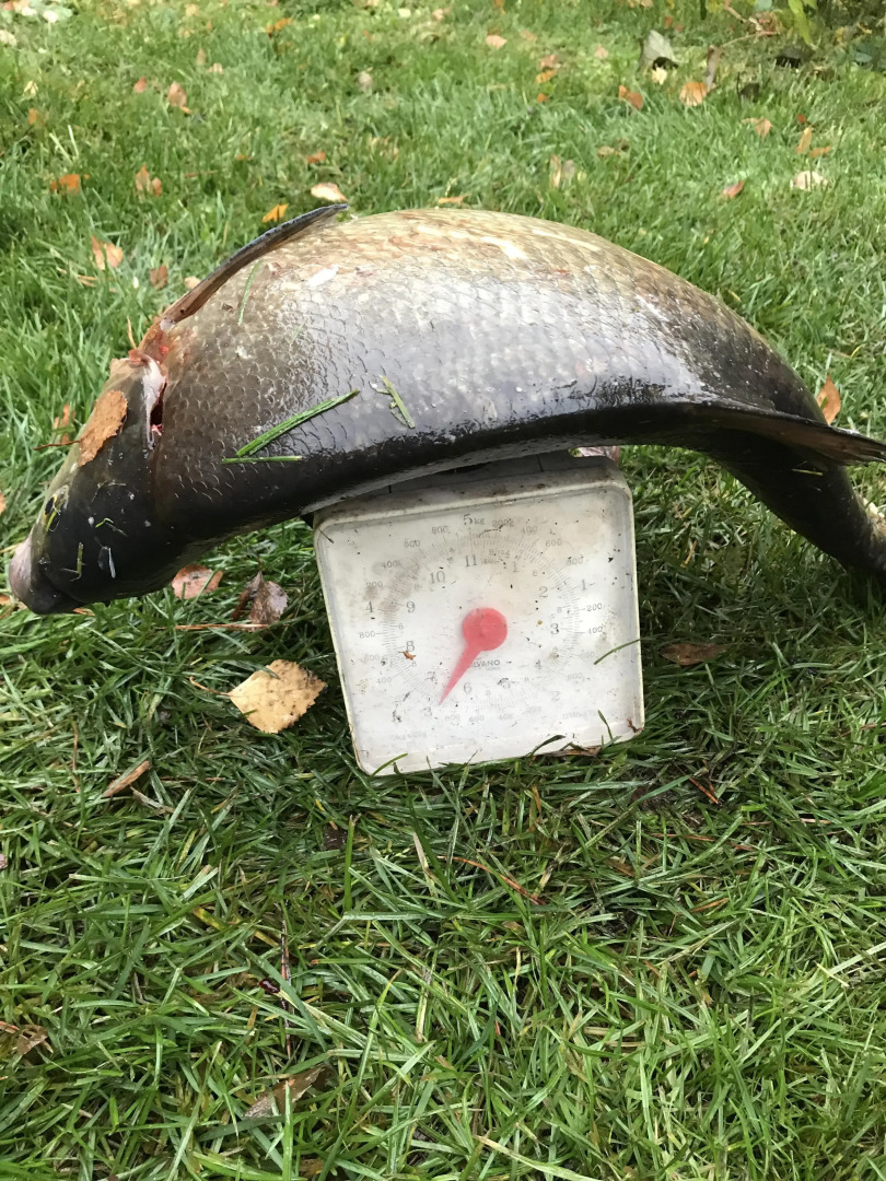 Частный дом На озере