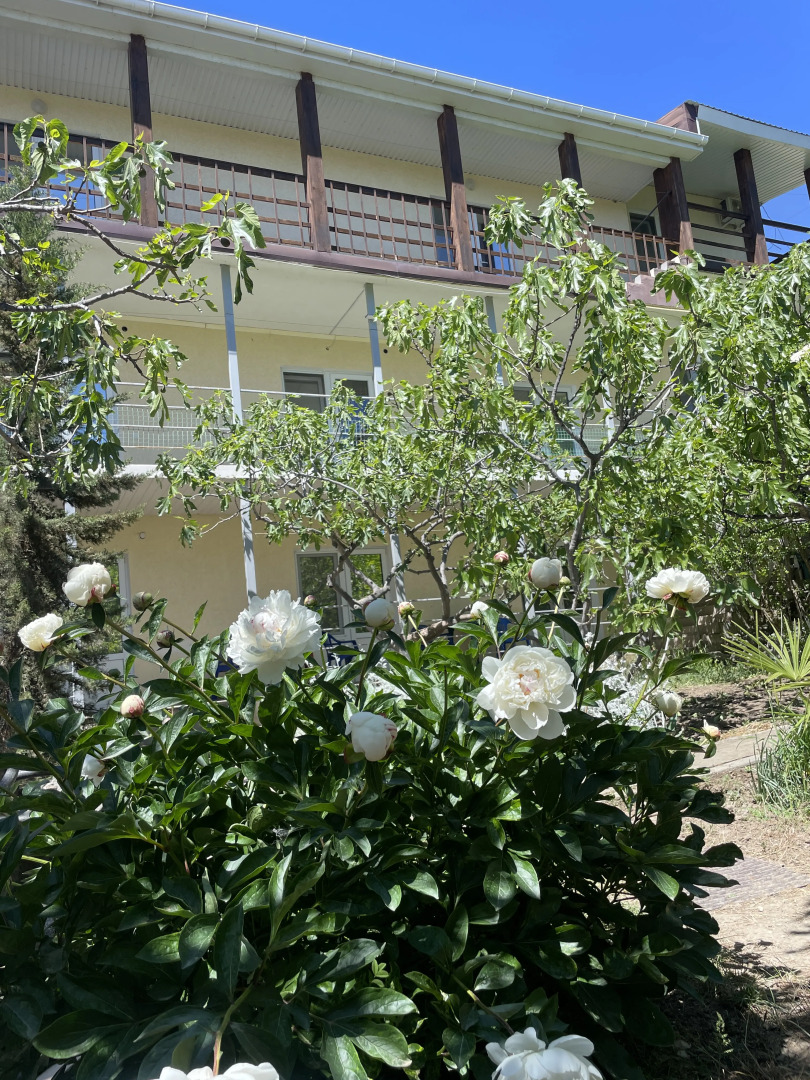 Гостевой дом Инжир