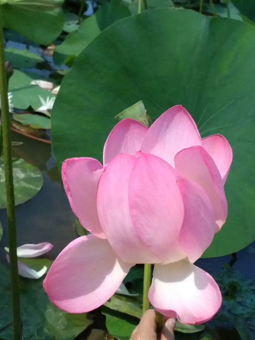 База Отдыха Заповедная Сказка