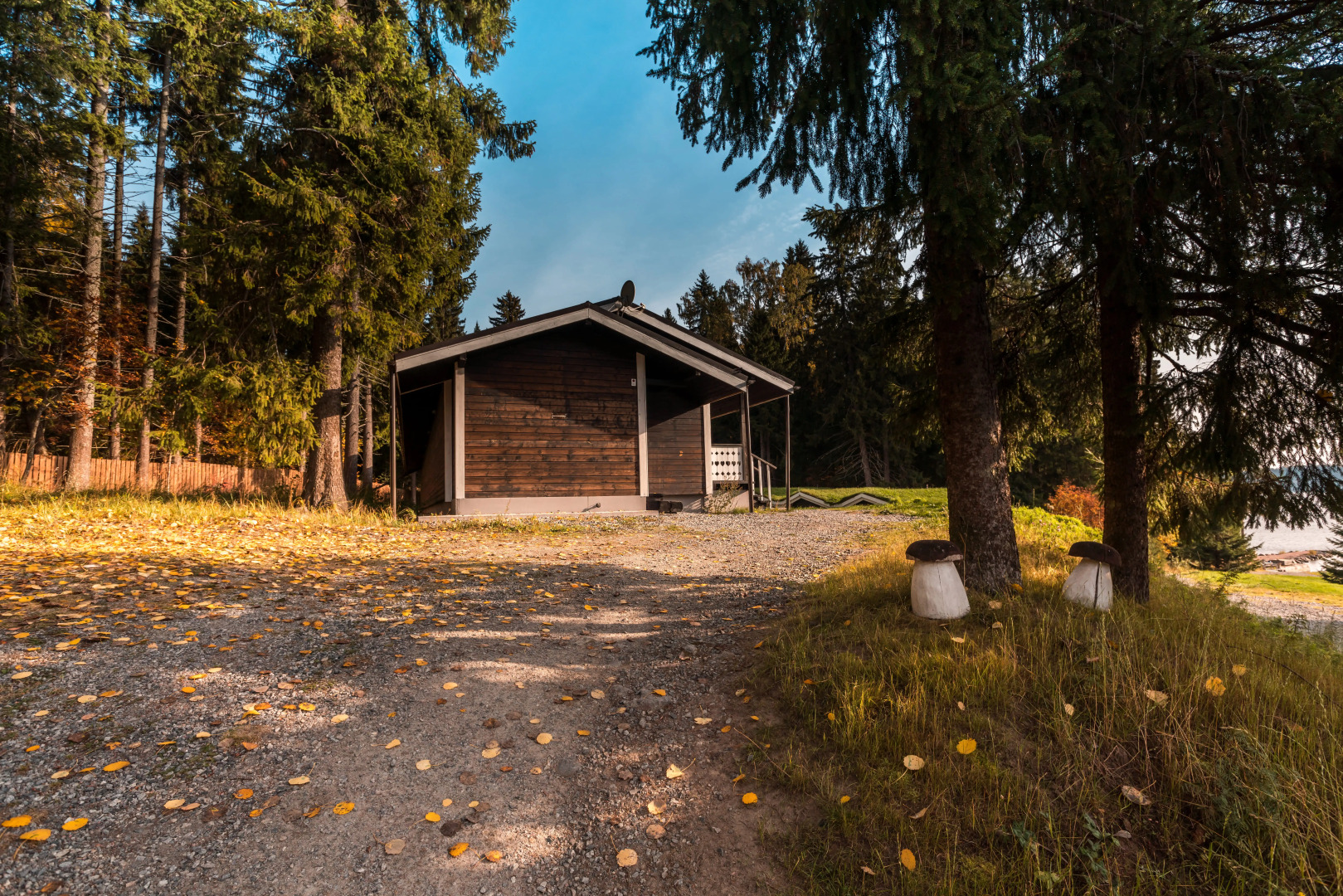 Времена Года