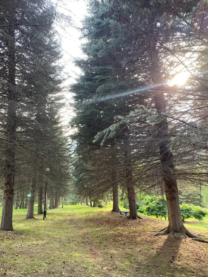 Санаторий Озон