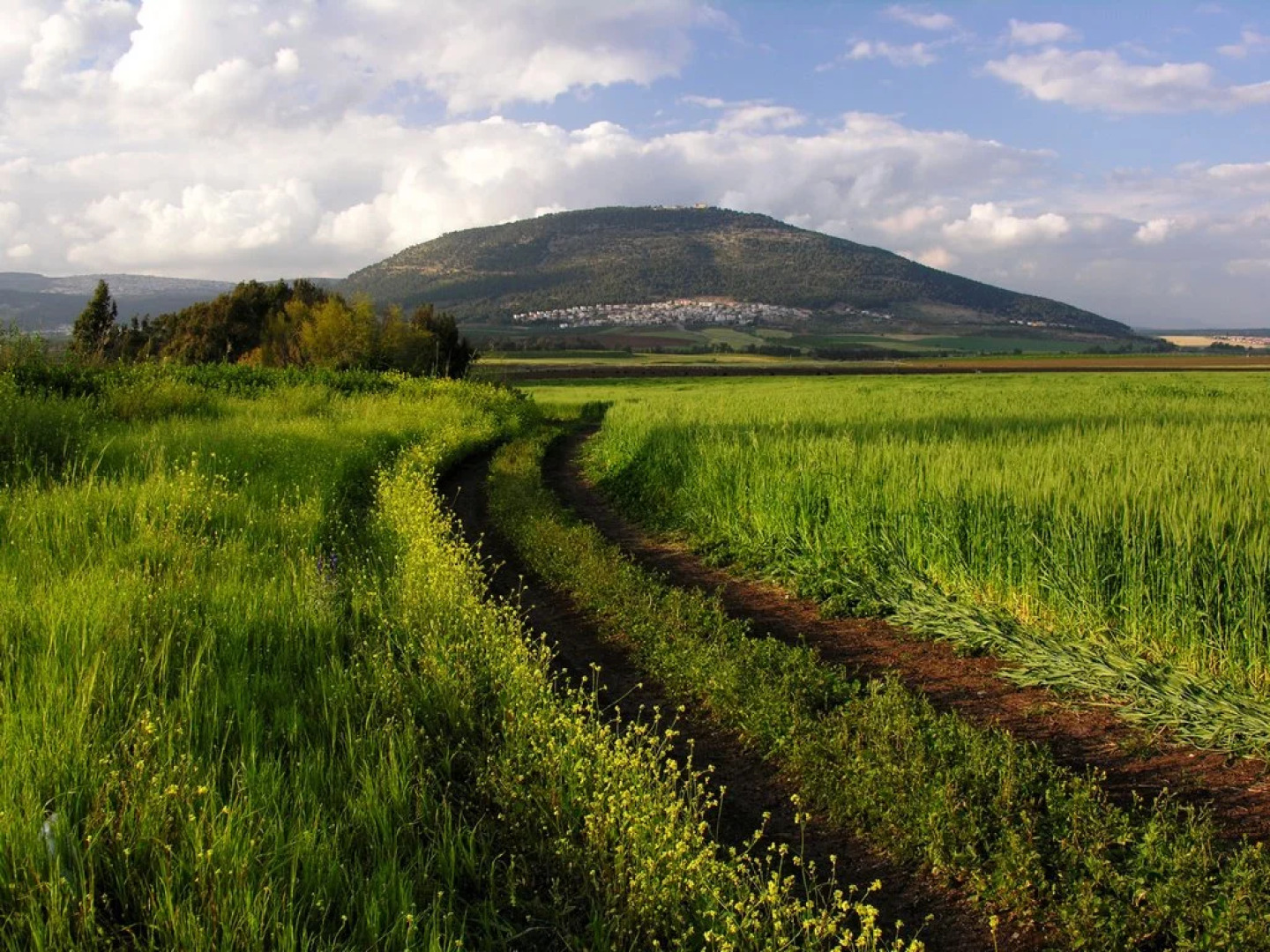 Отель Pearl of the Valley