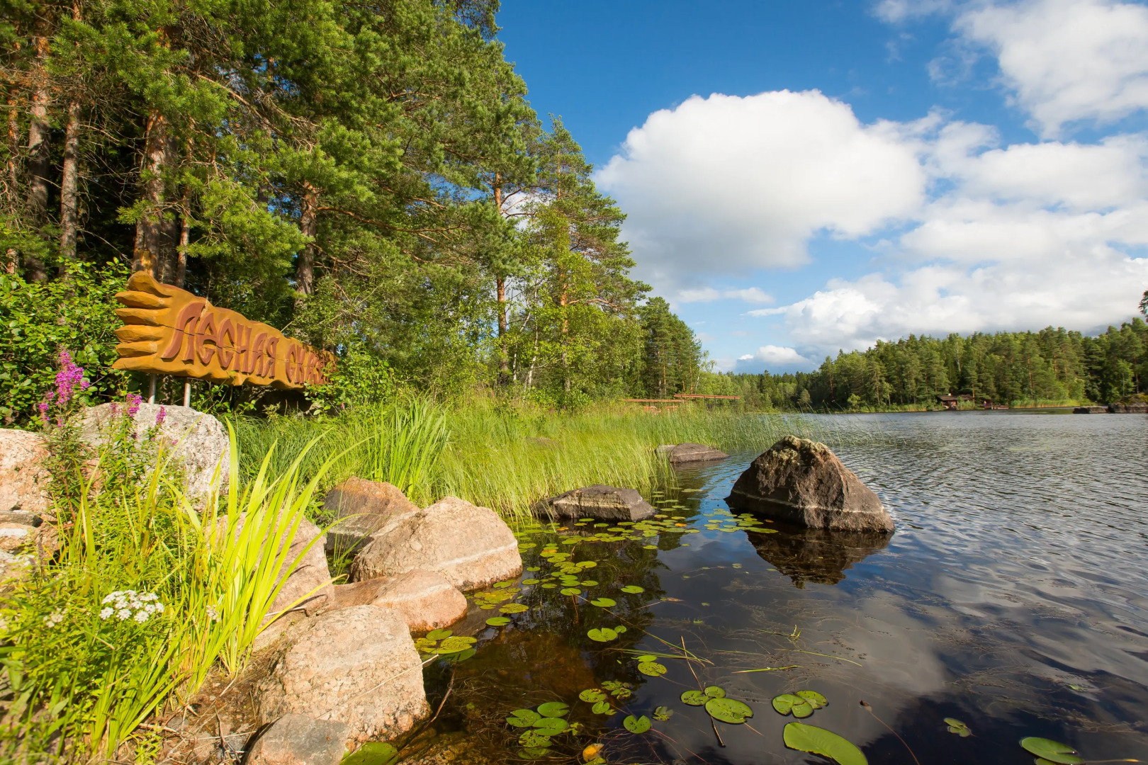 База отдыха Лесная Сказка
