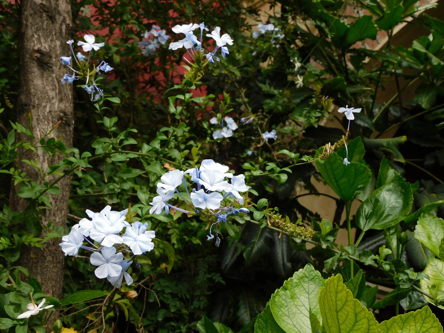 Отель La Quinta Luna Culture By Rotamundos