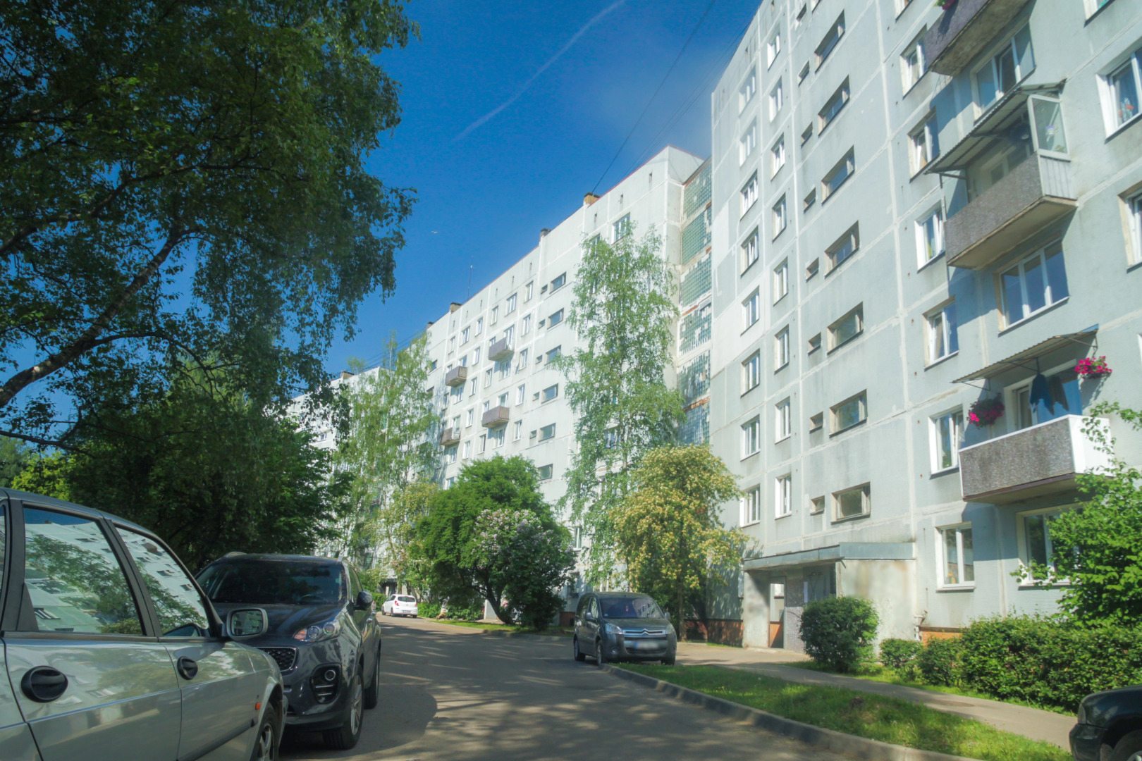 Апартаменты Берёзовая роща