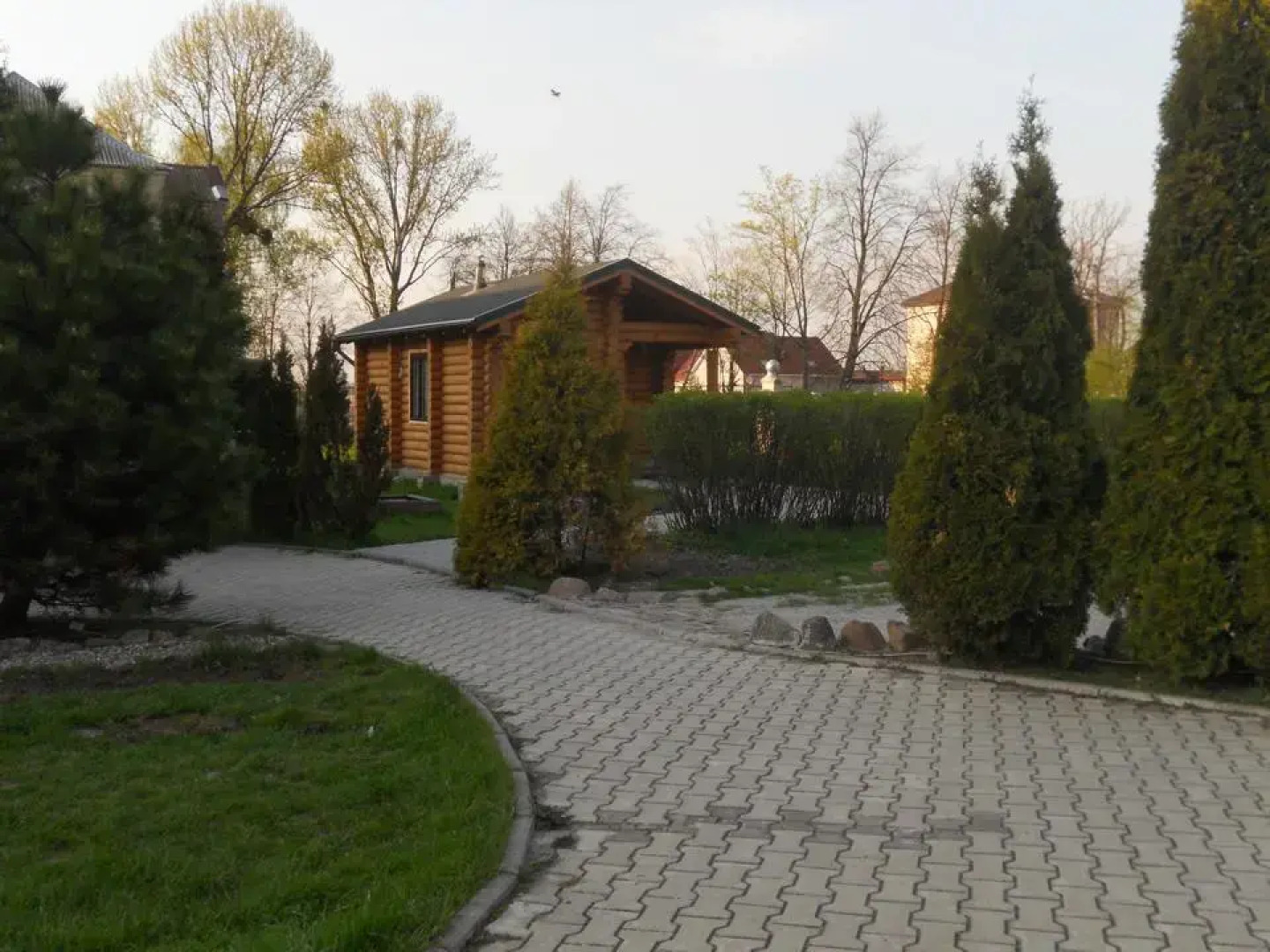 База отдыха Зеркальный карп