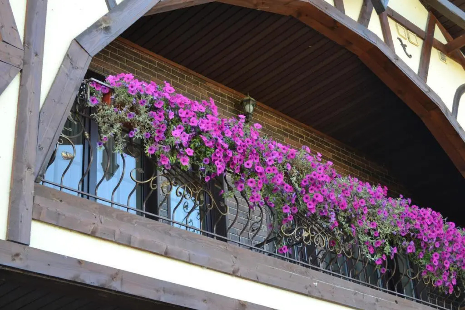 Отель Птичь