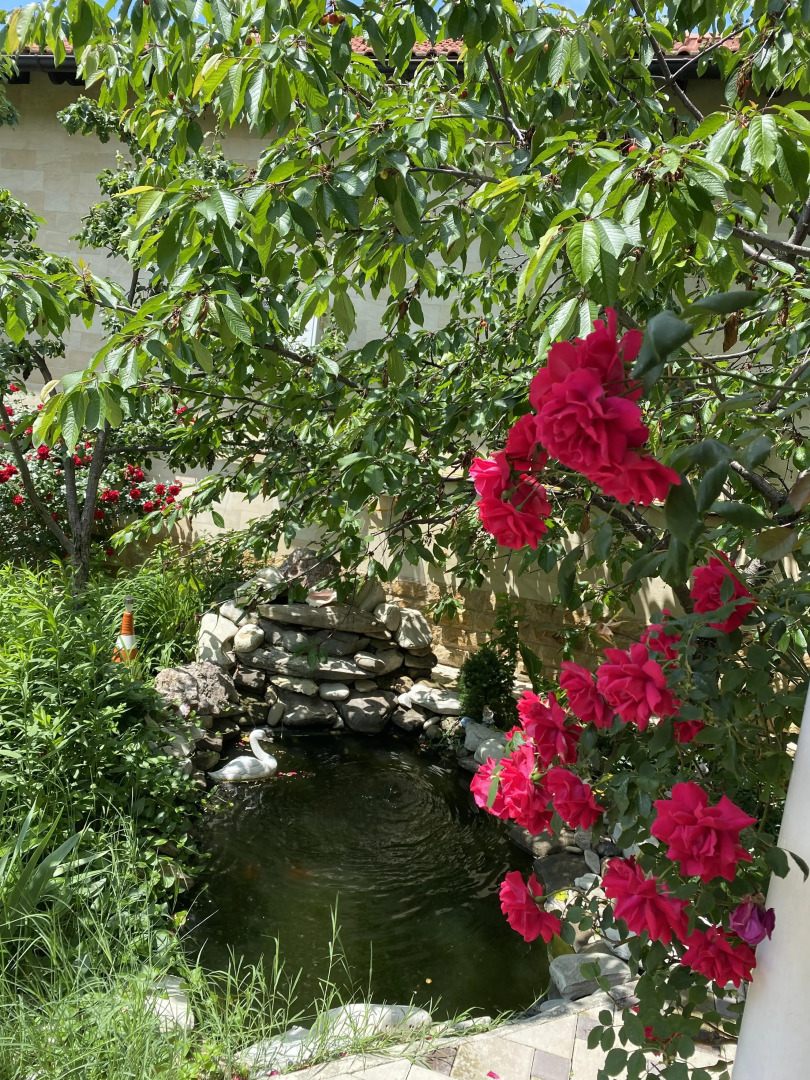 Гостевой Дом Белая Невесточка