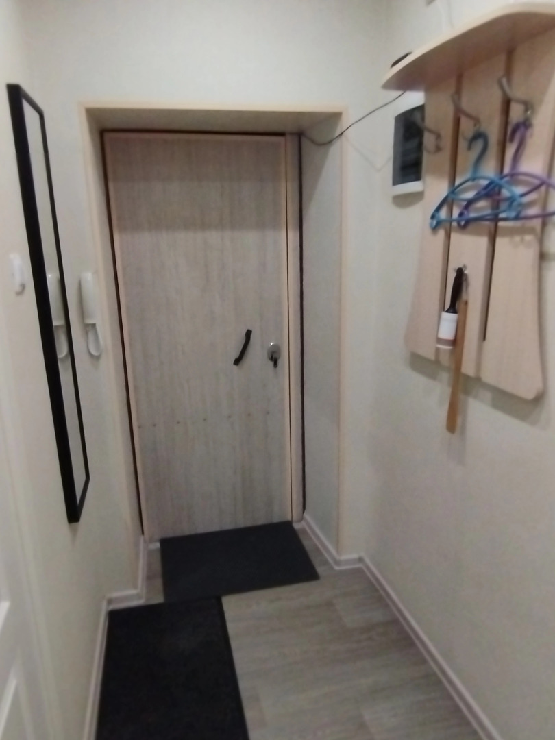 Квартира 1-комнатная на Пушкина 56