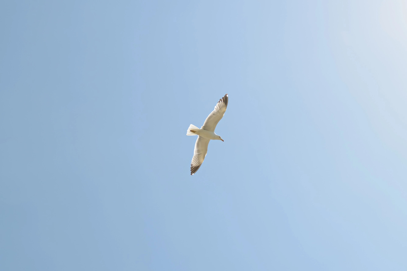 Апартаменты кв. 50 "Форосский берег"