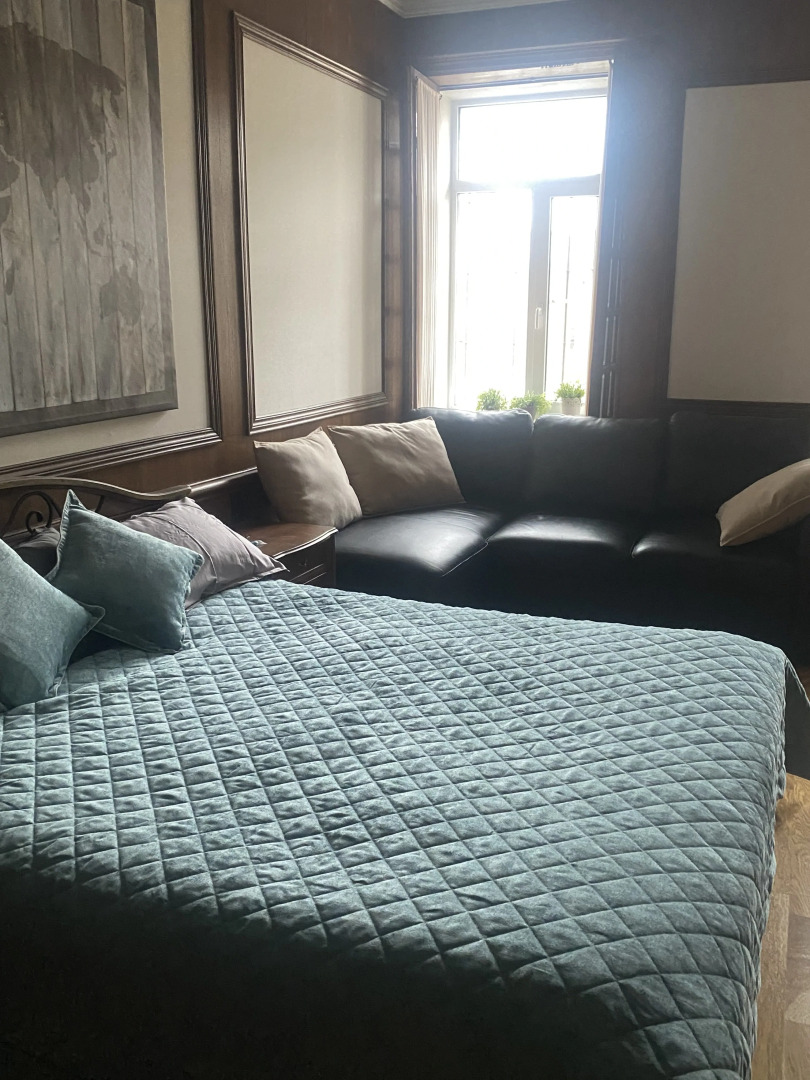 Квартира профессорская на Рубинштейна 9