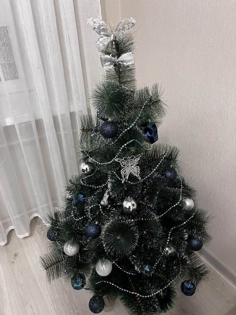 Квартира Двухкомнатная в центре Петрозаводска рядом с озером