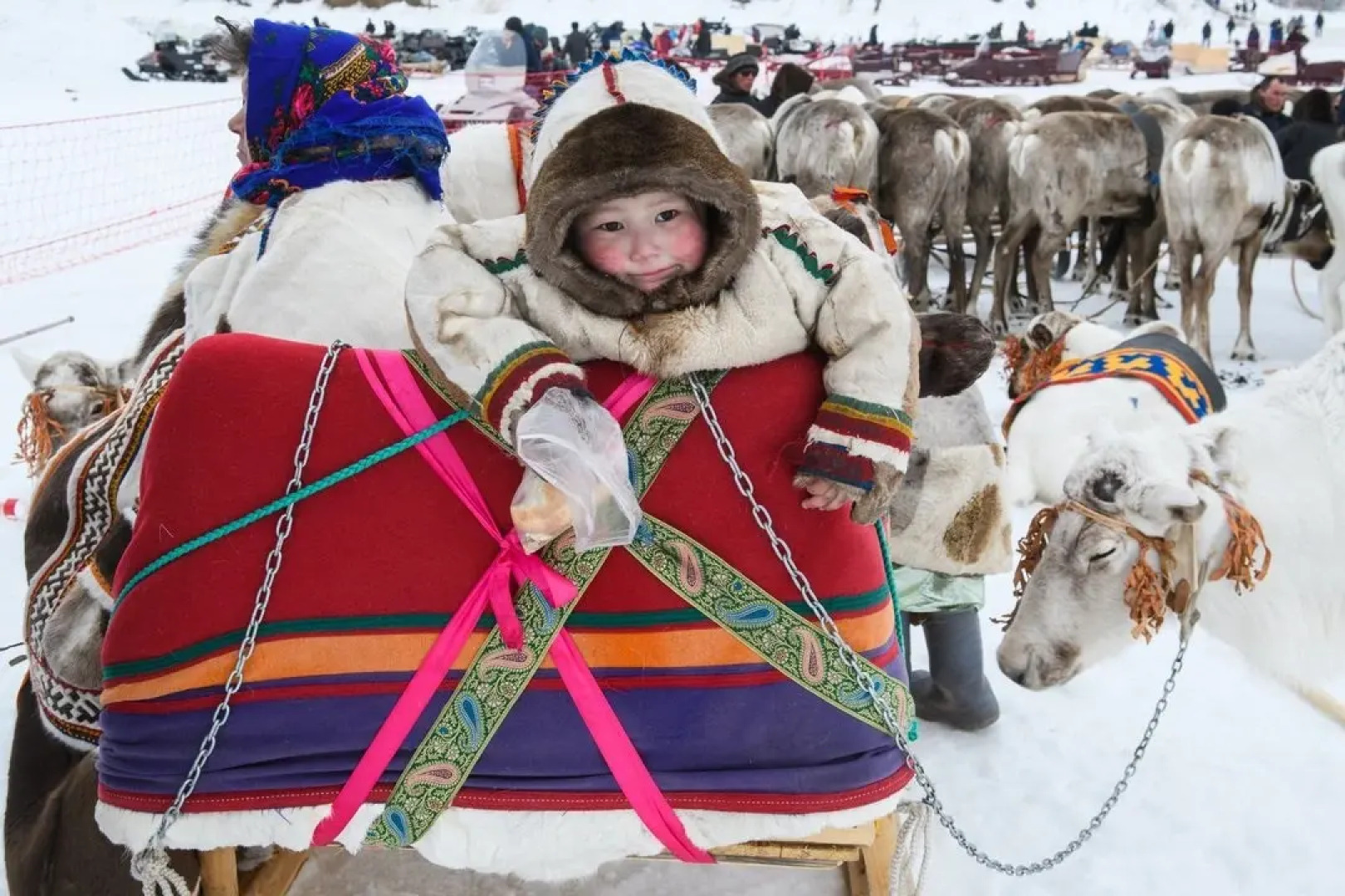 Кемпинг Sava Syo