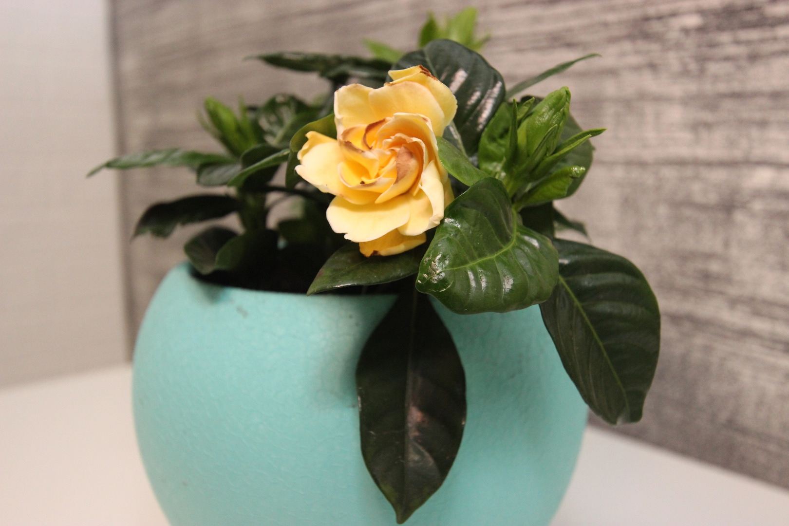 Апартаменты Loft-Apart студия «Хай-Тек»