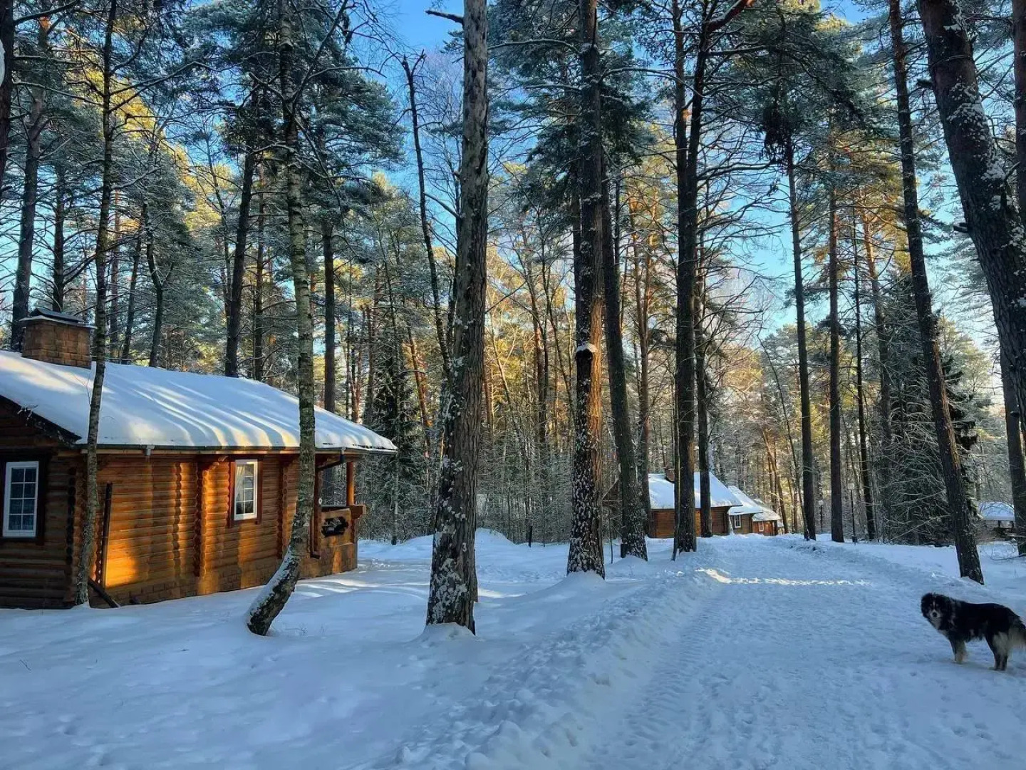 Отель Крутой яр